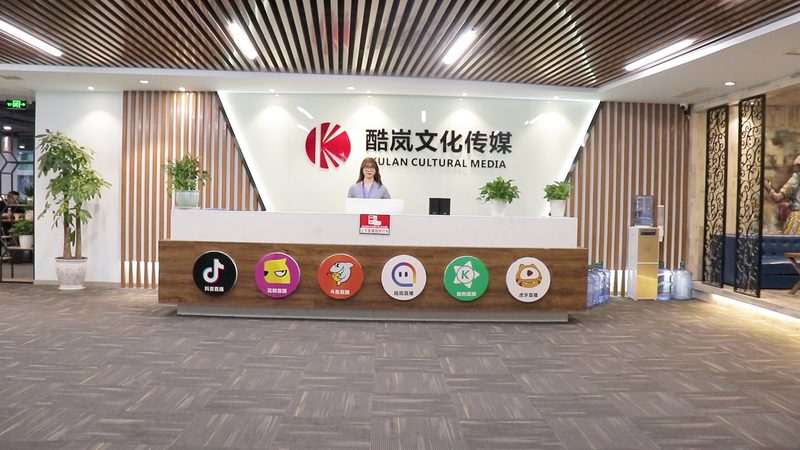 加盟条件解析：资质与实力并重